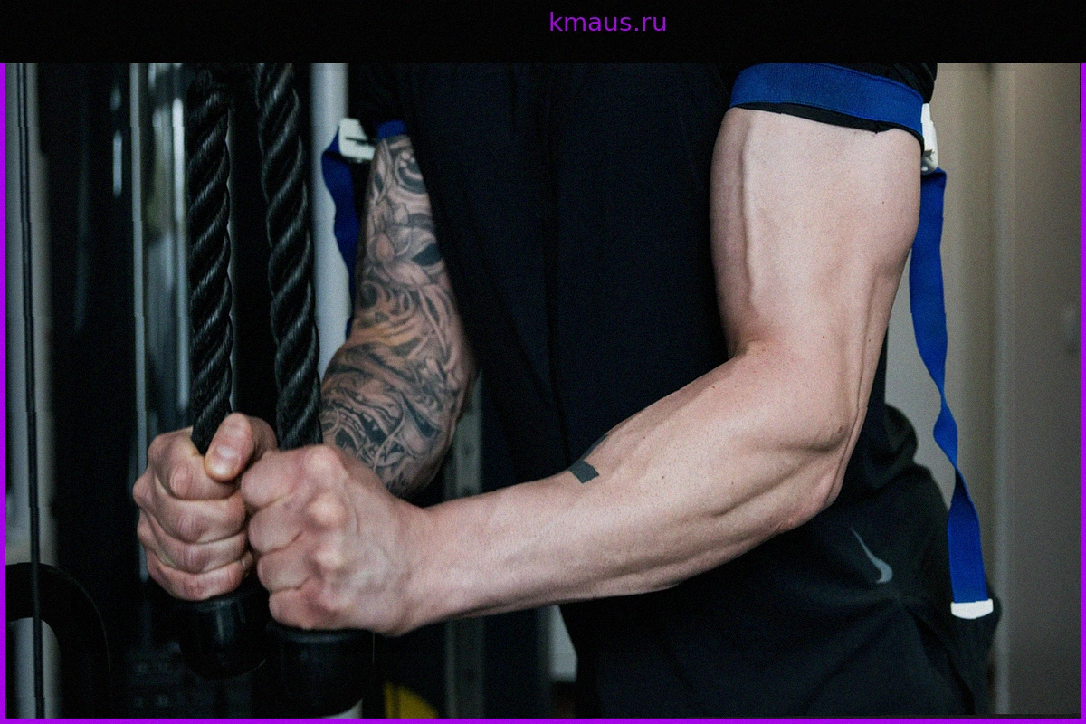 Blood Flow Restriction (BFR) Training: Рост мышц с легкими весами и ощущение 'взрыва'