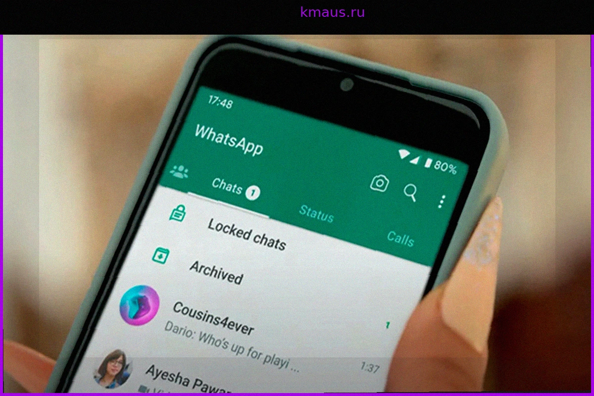Новая функция WhatsApp: как с первого взгляда узнать, кто в сети