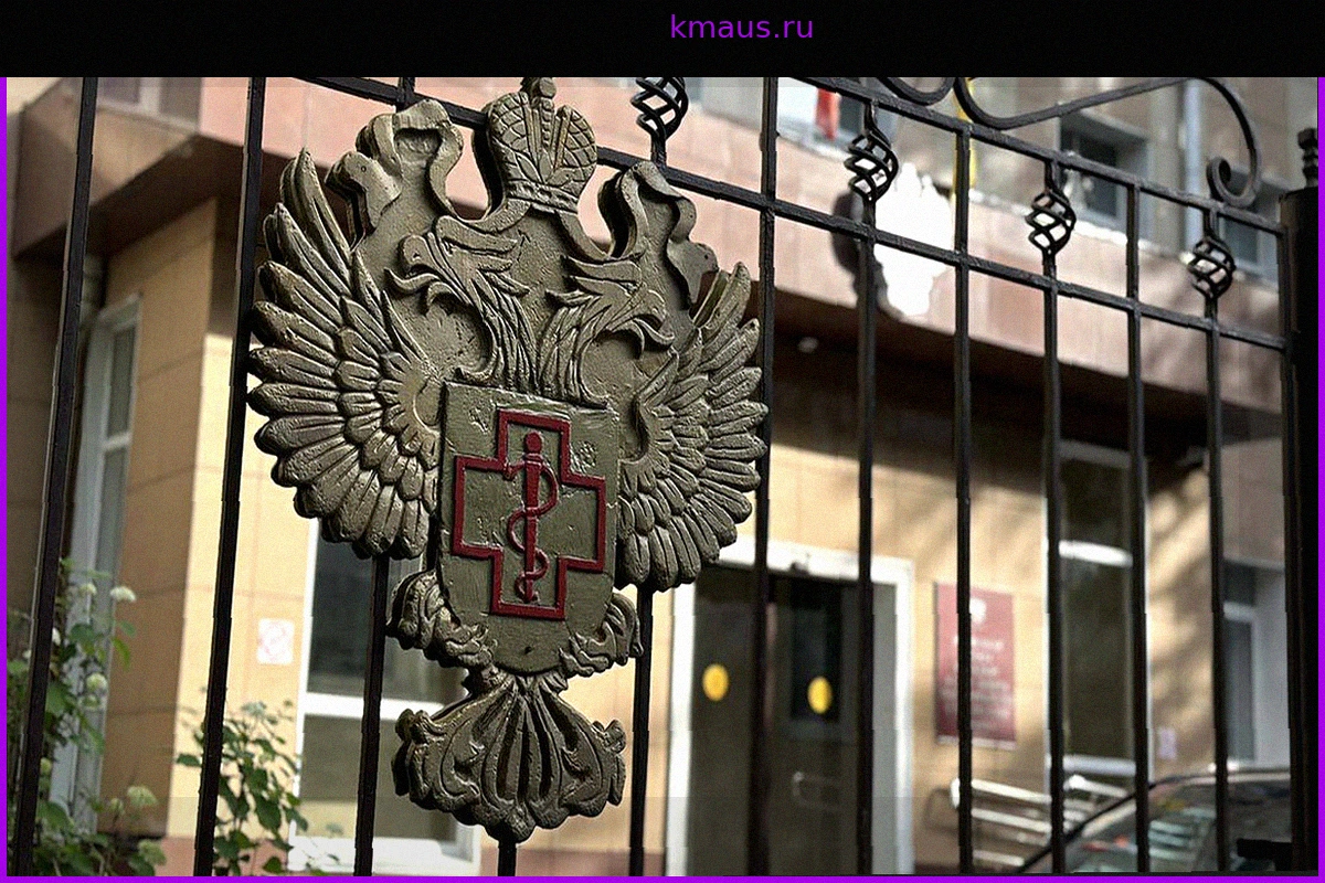 Роспотребнадзор оценил риск распространения хантавируса Андес в России