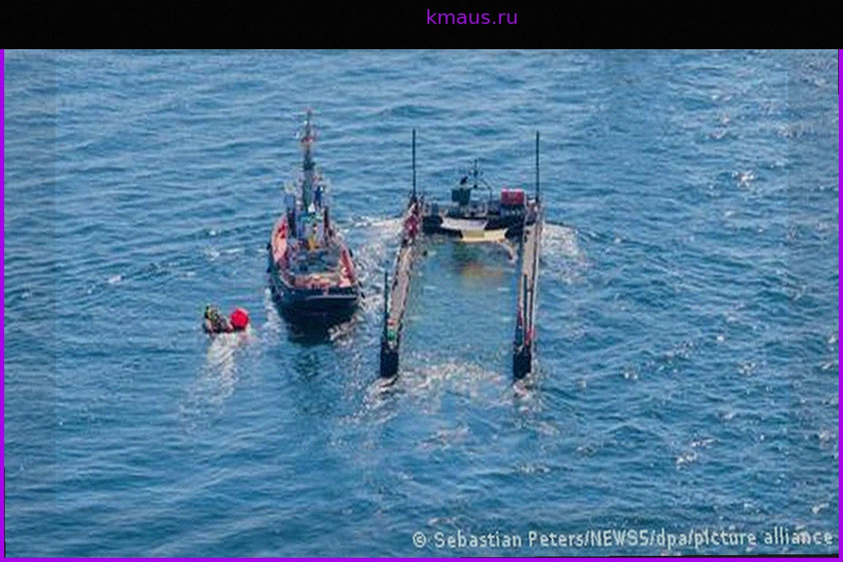 Горбатый кит Тимми выпущен в Северное море