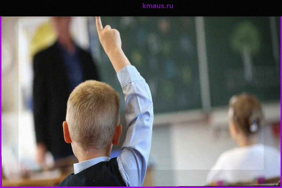 Образовательная политика АдГ: Как партия использует недоверие к государству