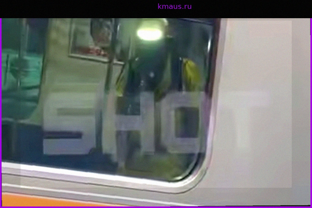 Более 13 Человек Пострадали от Распыления Неизвестного Вещества в Поезде в Японии