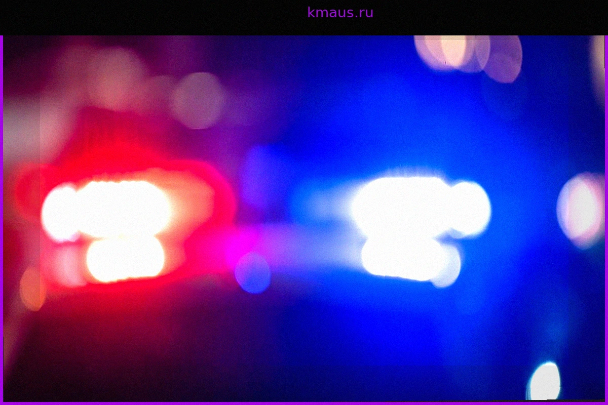 Полиция Дубая обвиняется в похищении бывшей жены шейха и ее детей