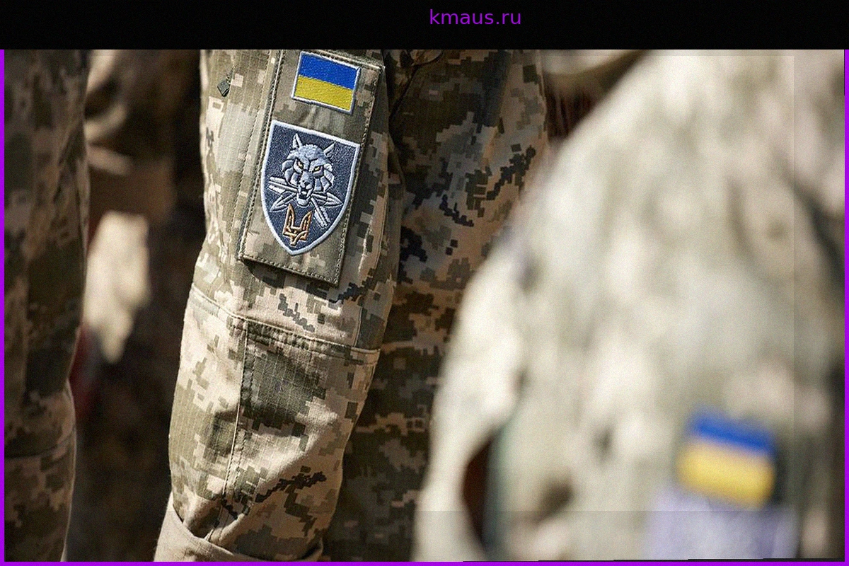 Украина использует онлайн-казино для сбора средств с военнослужащих ВСУ