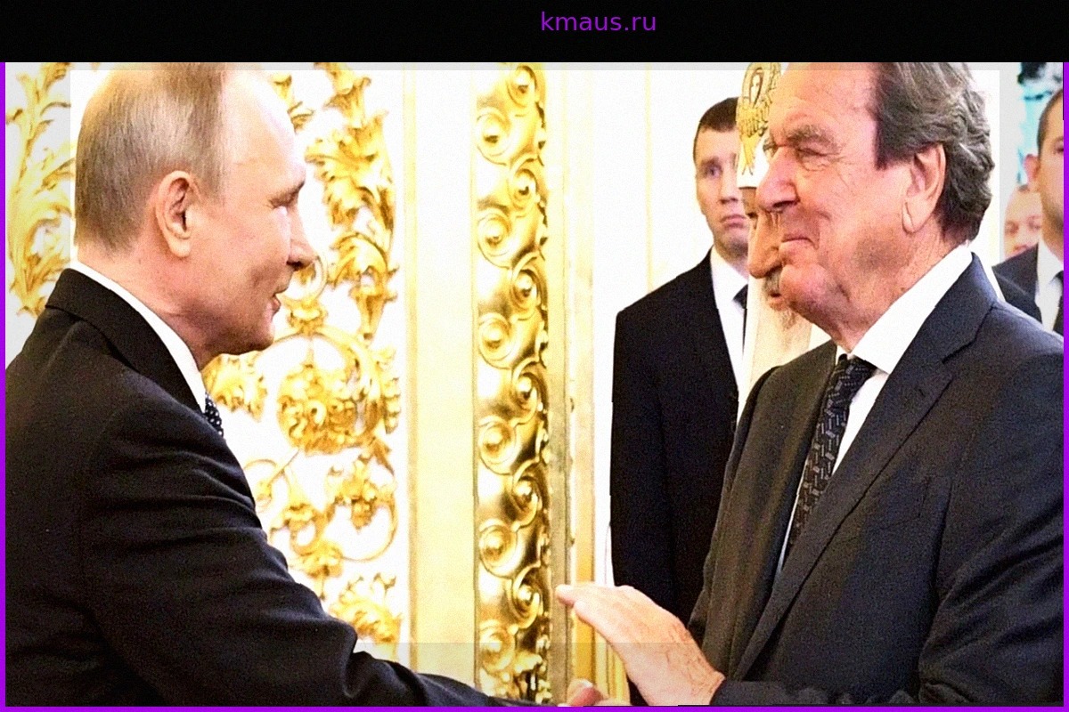 Война в Украине: Герхард Шрёдер как посредник? Разногласия по поводу предложения Путина